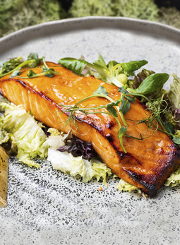 Дикий горный лосось